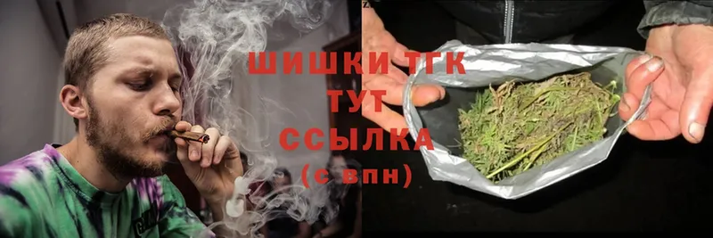 Каннабис Ganja  Пудож 